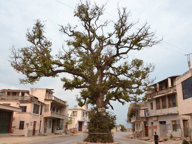 PhotoCap_118.jpg