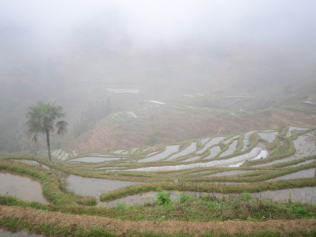 PhotoCap_042.jpg