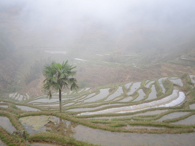 PhotoCap_043.jpg