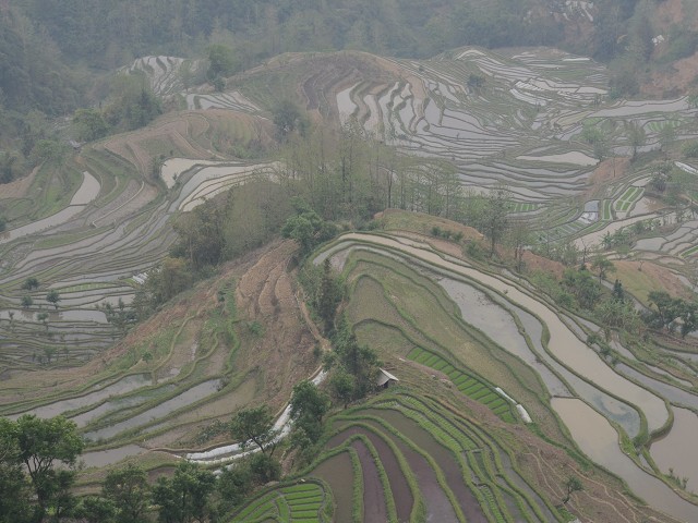 PhotoCap_137.jpg