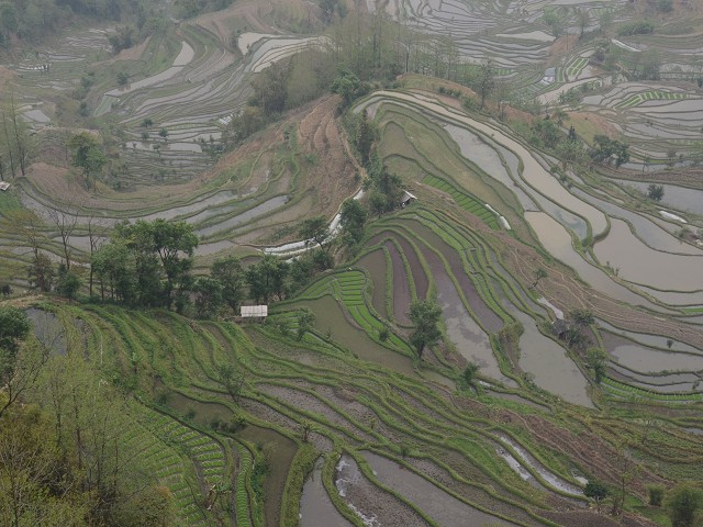 PhotoCap_142.jpg