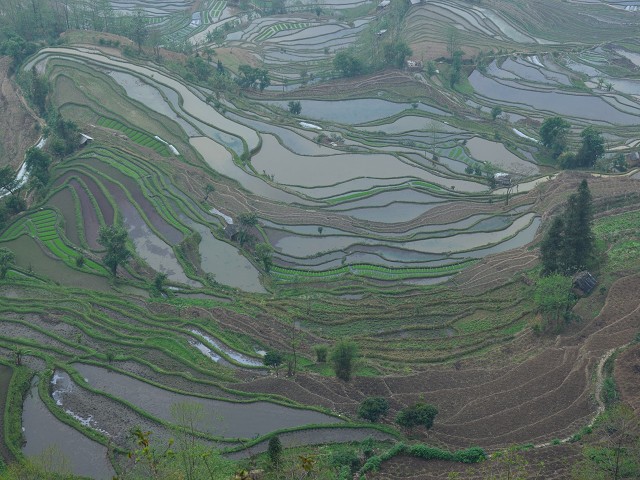 PhotoCap_095.jpg