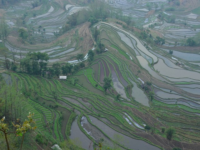PhotoCap_094.jpg