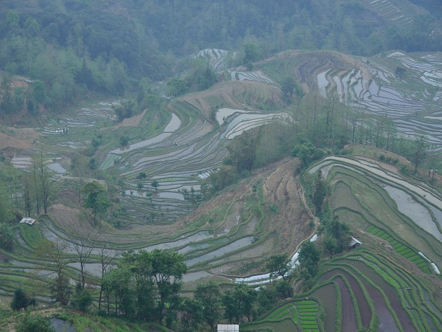 PhotoCap_105.jpg