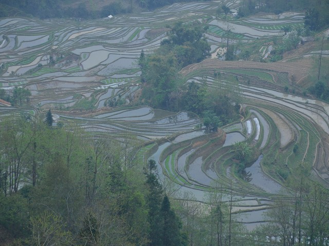 PhotoCap_104.jpg
