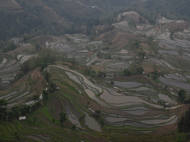 PhotoCap_136.jpg