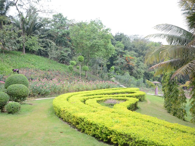 PhotoCap_048.jpg