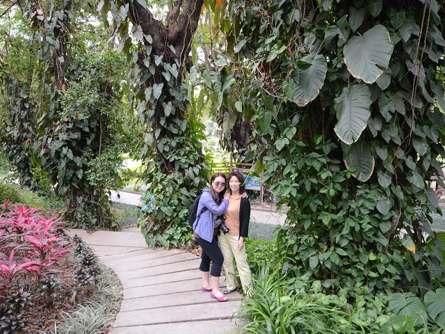 PhotoCap_031.jpg