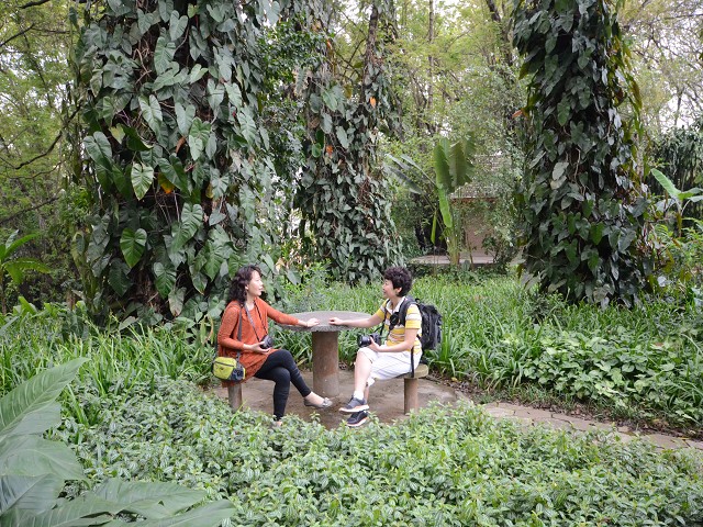 PhotoCap_030.jpg
