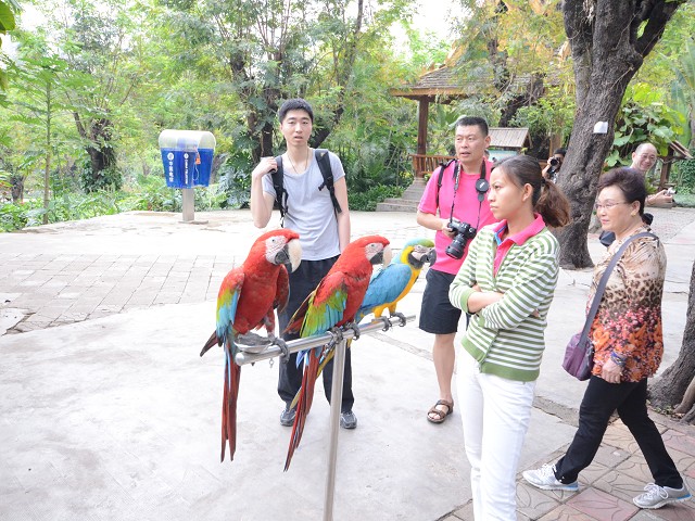PhotoCap_023.jpg