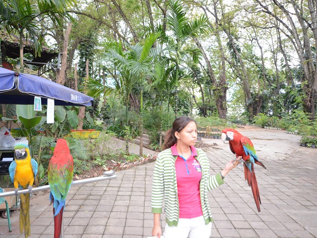 PhotoCap_024.jpg