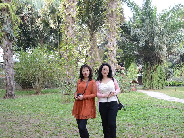 PhotoCap_088.jpg