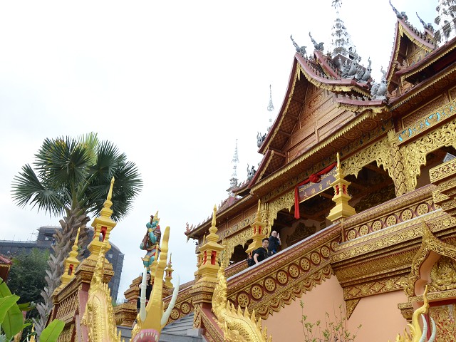 PhotoCap_075.jpg