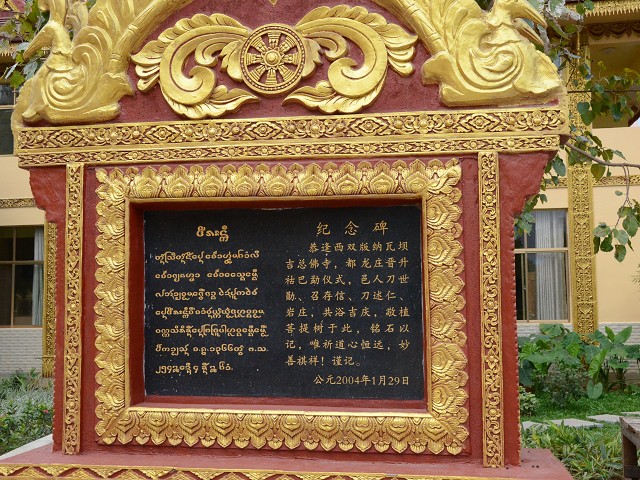 PhotoCap_072.jpg
