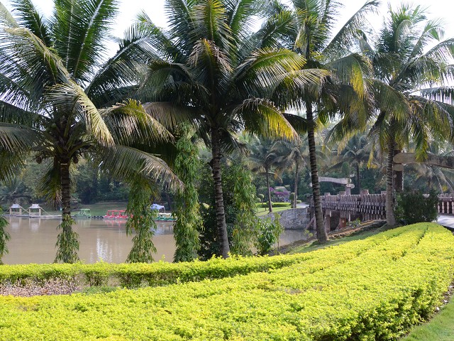 PhotoCap_122.jpg