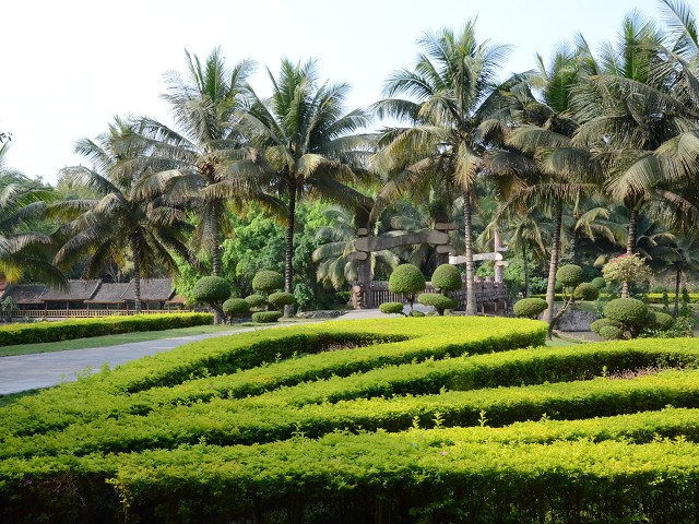 PhotoCap_154.jpg