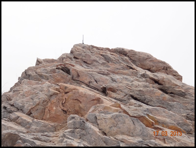 conew_dsc01755.jpg