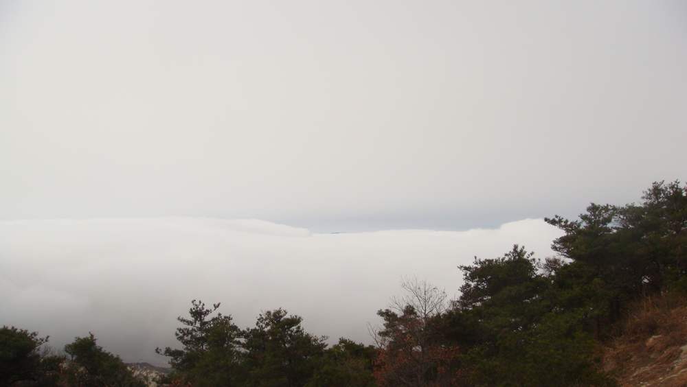 DSC05778.jpg