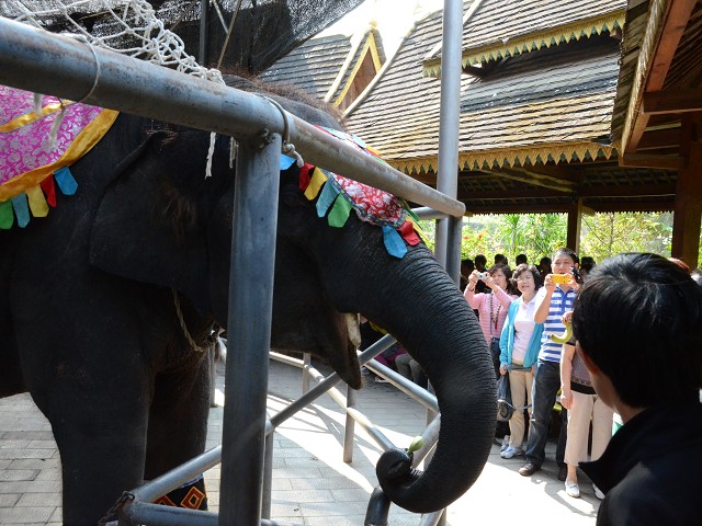 PhotoCap_159.jpg