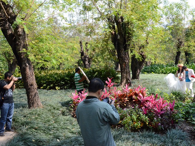 PhotoCap_193.jpg