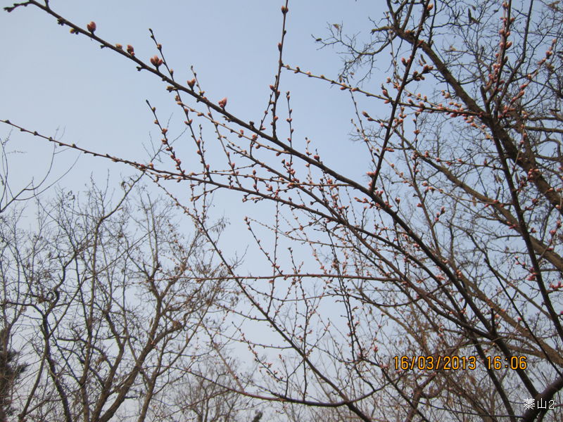 13031620008207af3eefb32255.jpg