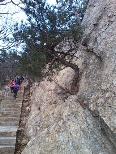 IMG_20130317_083345.jpg