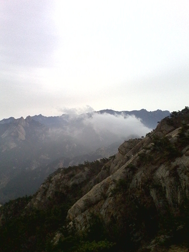 IMG_20130317_084956.jpg
