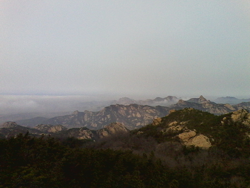 IMG_20130317_085200.jpg