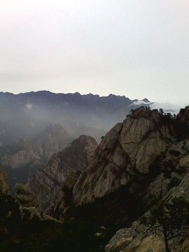 IMG_20130317_090140.jpg