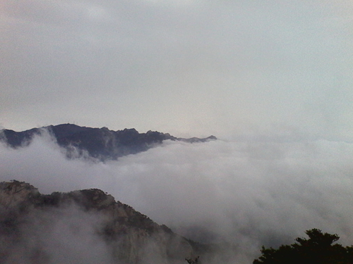 IMG_20130317_102747.jpg