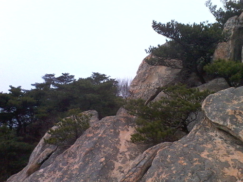 IMG_20130317_102914.jpg