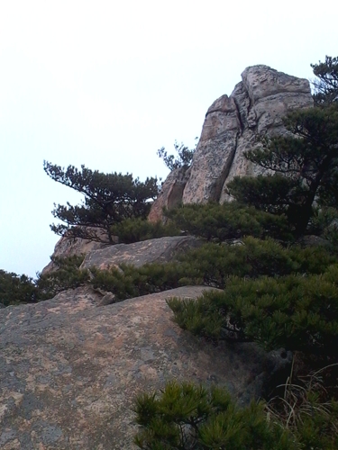 IMG_20130317_102903.jpg