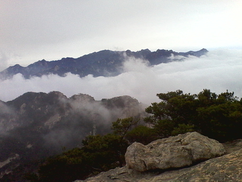 IMG_20130317_104109.jpg