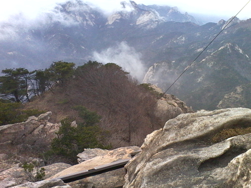 IMG_20130317_103858.jpg