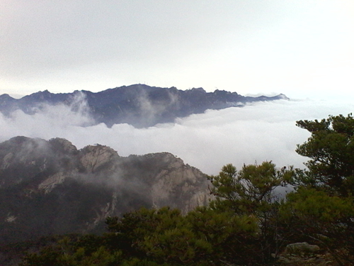 IMG_20130317_103429.jpg