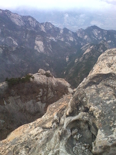 IMG_20130317_103911.jpg