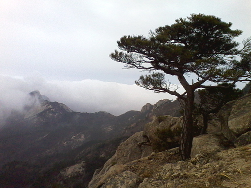 IMG_20130317_110641.jpg