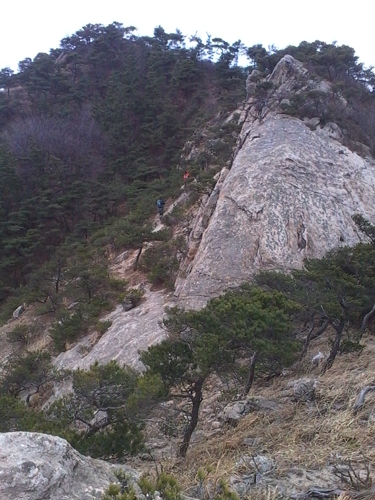 IMG_20130317_111828.jpg