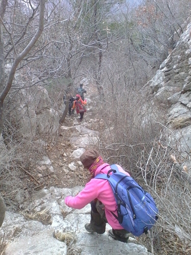 IMG_20130317_105244.jpg