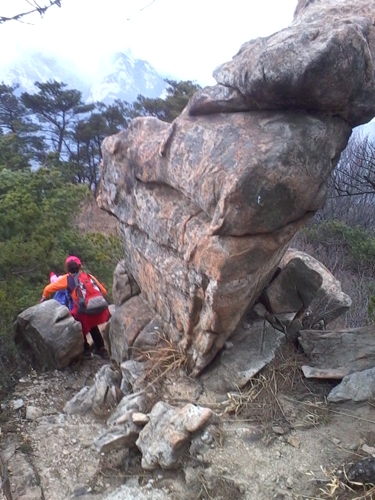 IMG_20130317_104408.jpg
