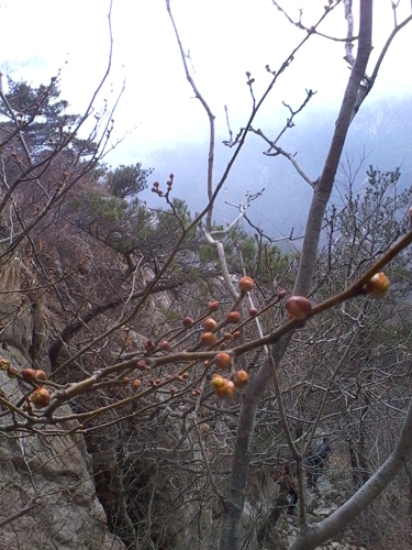 IMG_20130317_105253.jpg
