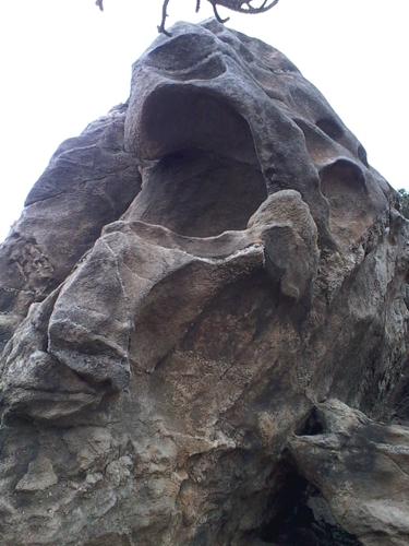 IMG_20130317_111321.jpg