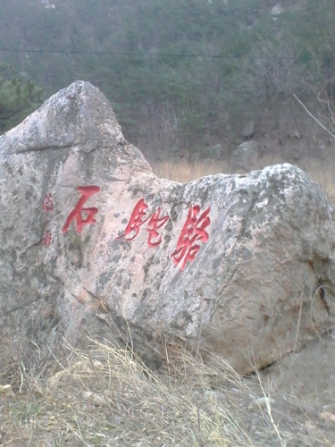 IMG_20130317_160919.jpg