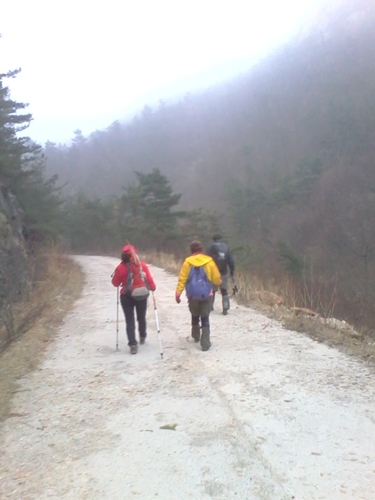 IMG_20130317_152347.jpg