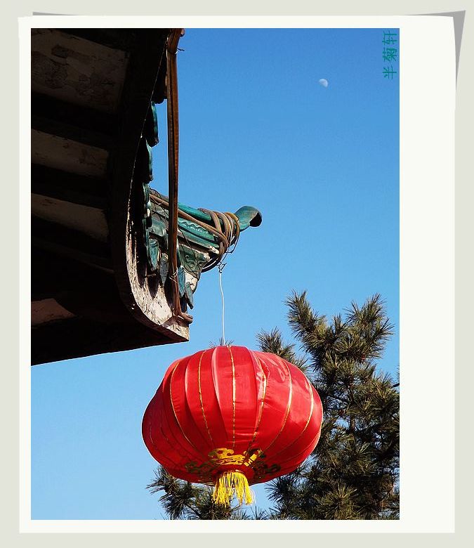 nEO_IMG_照片 839.jpg