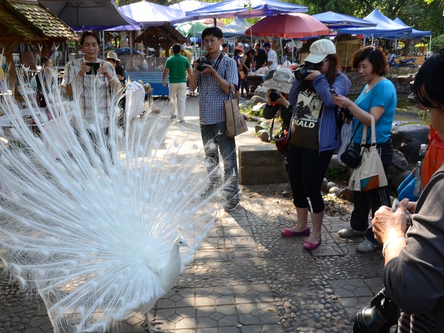 PhotoCap_391.jpg