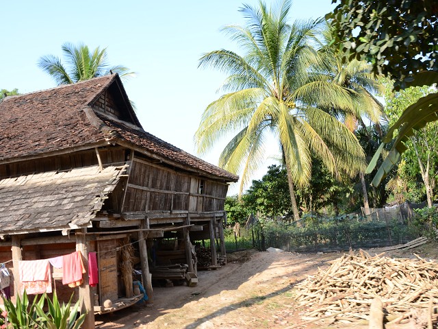PhotoCap_395.jpg