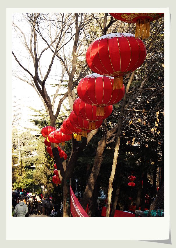 nEO_IMG_照片 864.jpg
