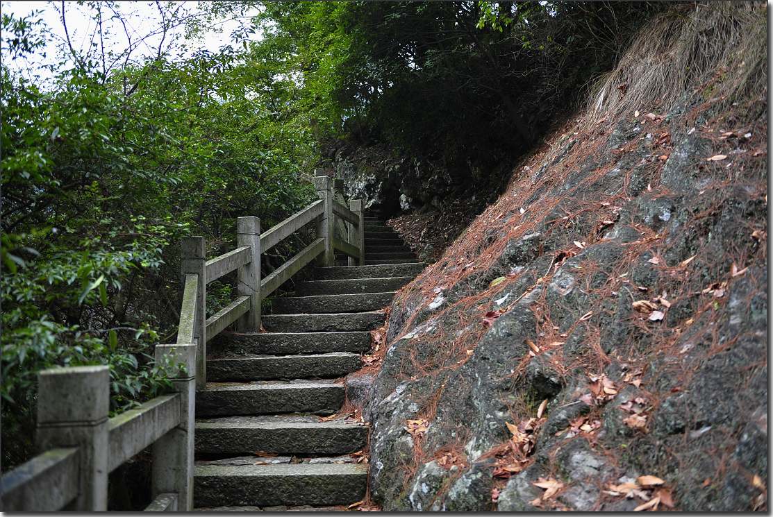 雁荡-厦门行 486.jpg