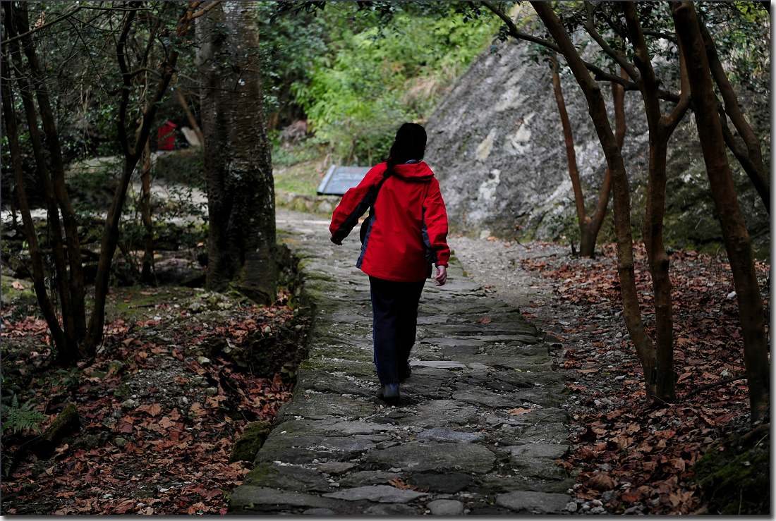 雁荡-厦门行 490.jpg